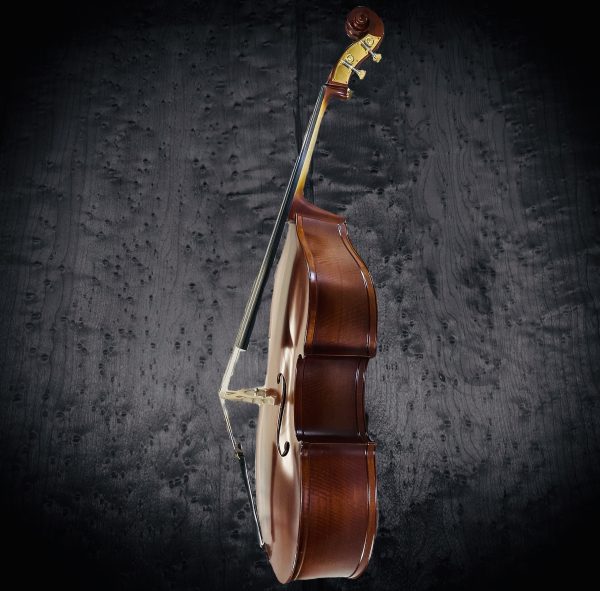 Franz Hoffman Bass - Image 3